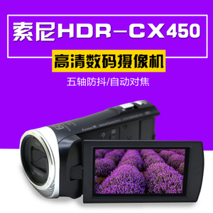 [ֻ]Sony/ HDR-CX450   CX450